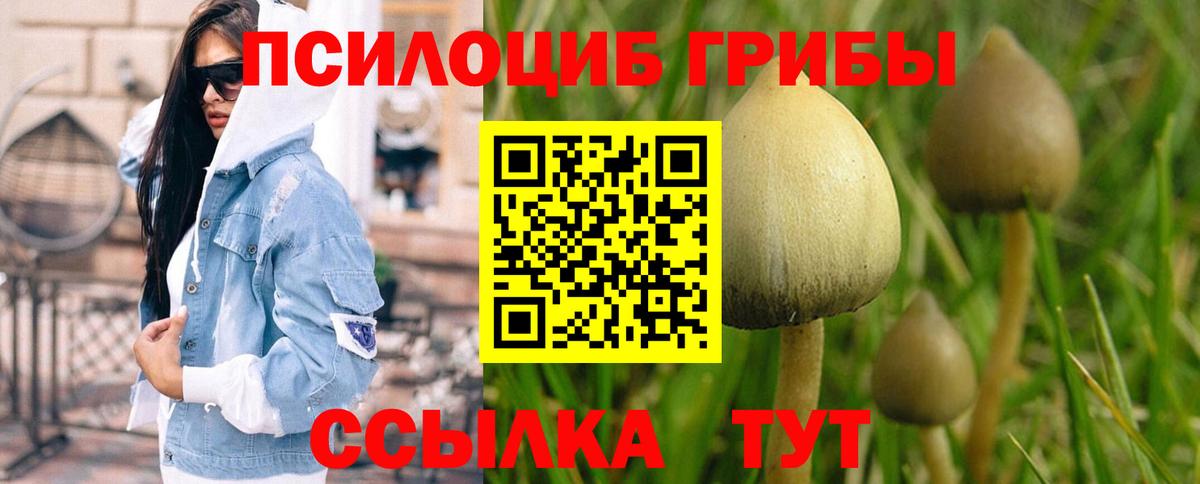 Соль-Илецк  Галлюциногенные грибы ЛСД  Вход с VPN 