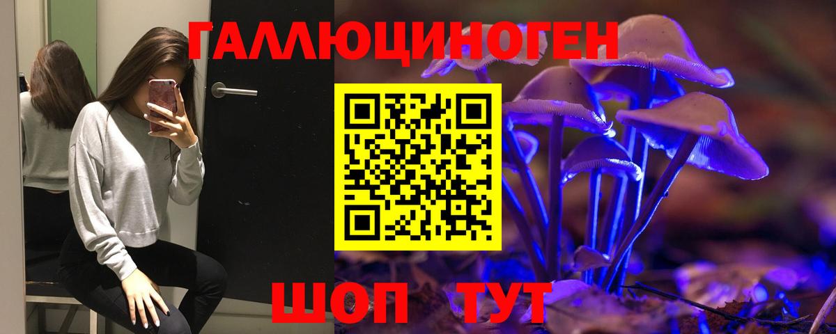Псилоцибиновые грибы Соль-Илецк